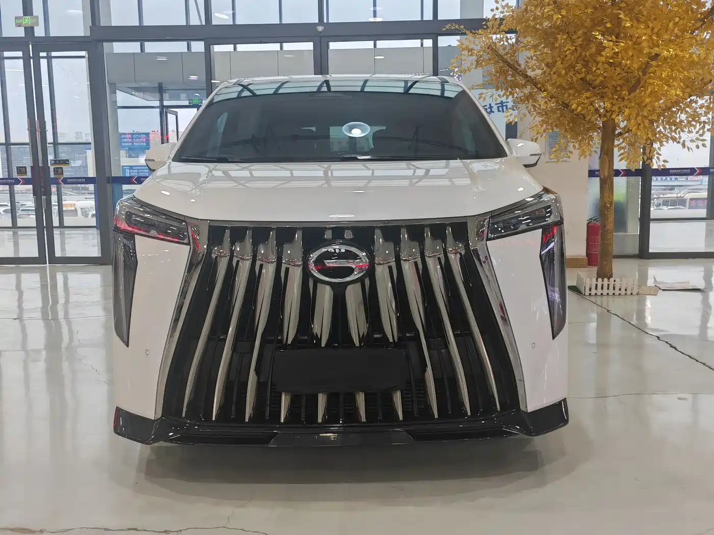 GAC TRUMPCHI M8
