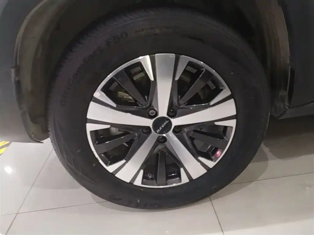 Haval Big Dog 2021 1.5T DCT 2WD Labrador Edition фото 23