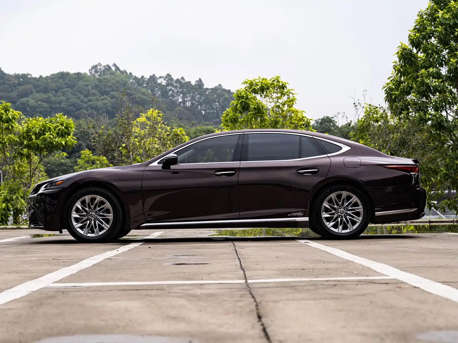 Фото 4 - Lexus LS