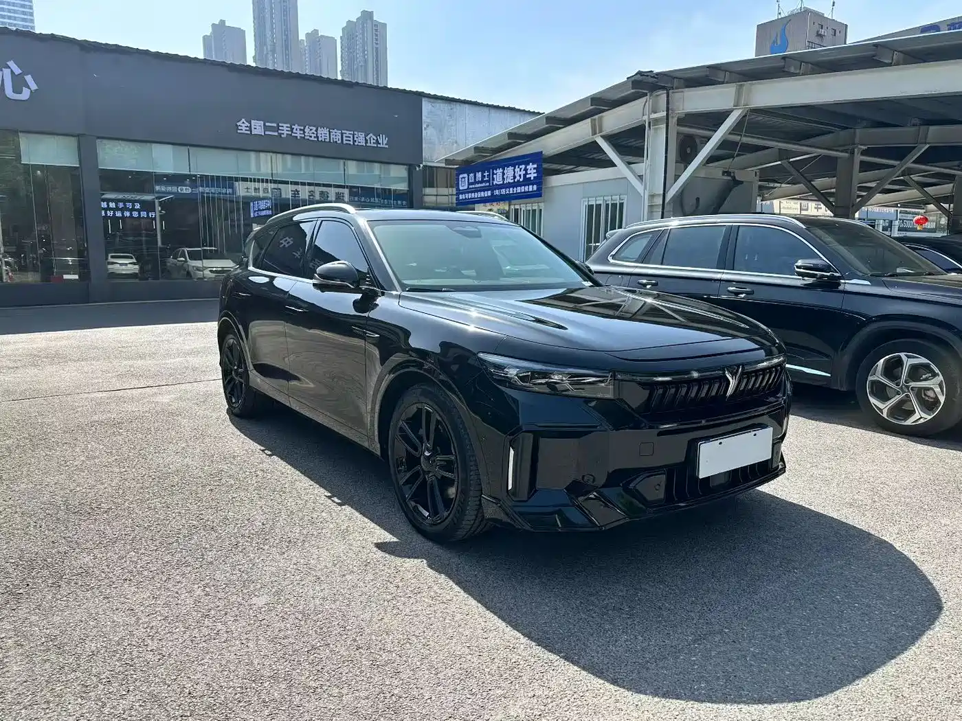 Voyah Auto VOYAH FREE 2024 Ultra Long Range Intelligent Driving Edition фото 3