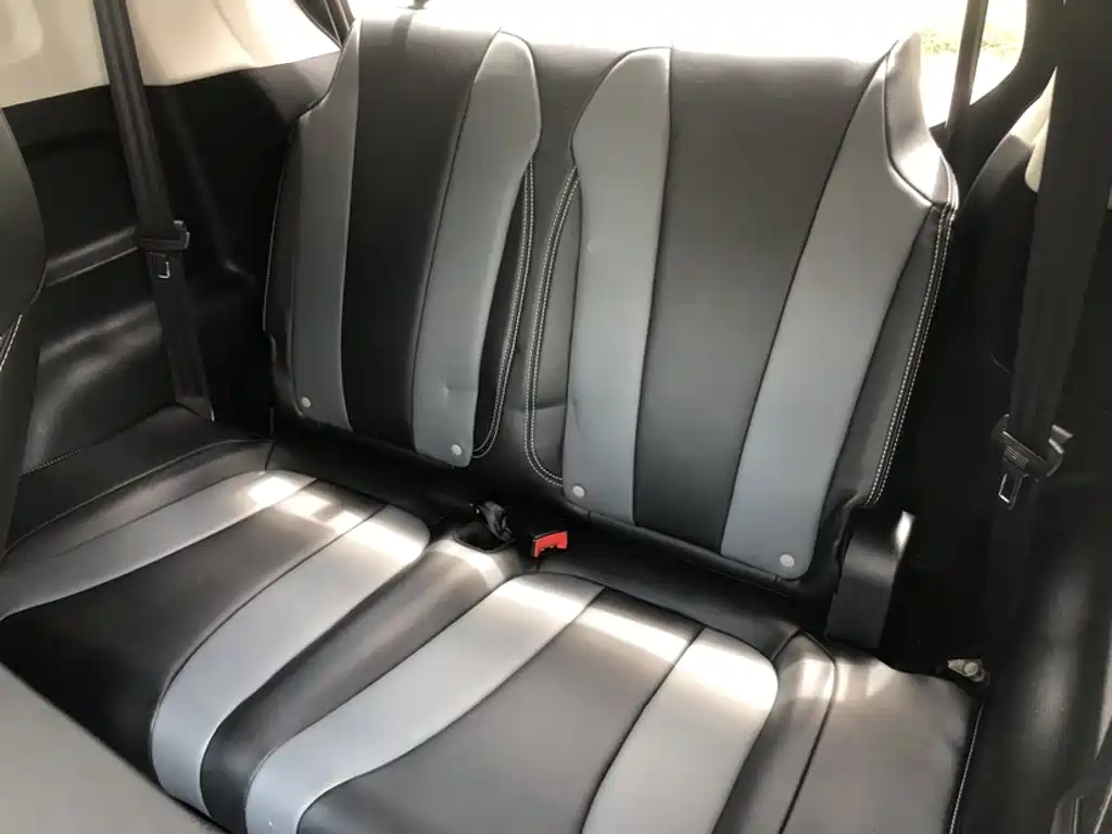 Roewe Clever 2023 2022 311km Vitality Bobo Edition