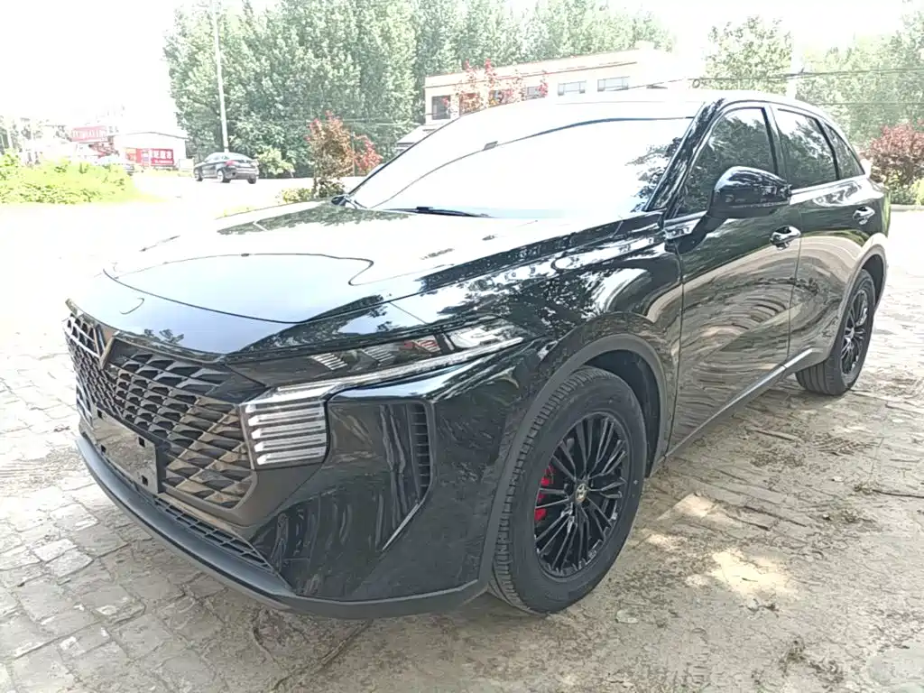 Venucia Big V 2023 260T Dark Horse Edition Pro