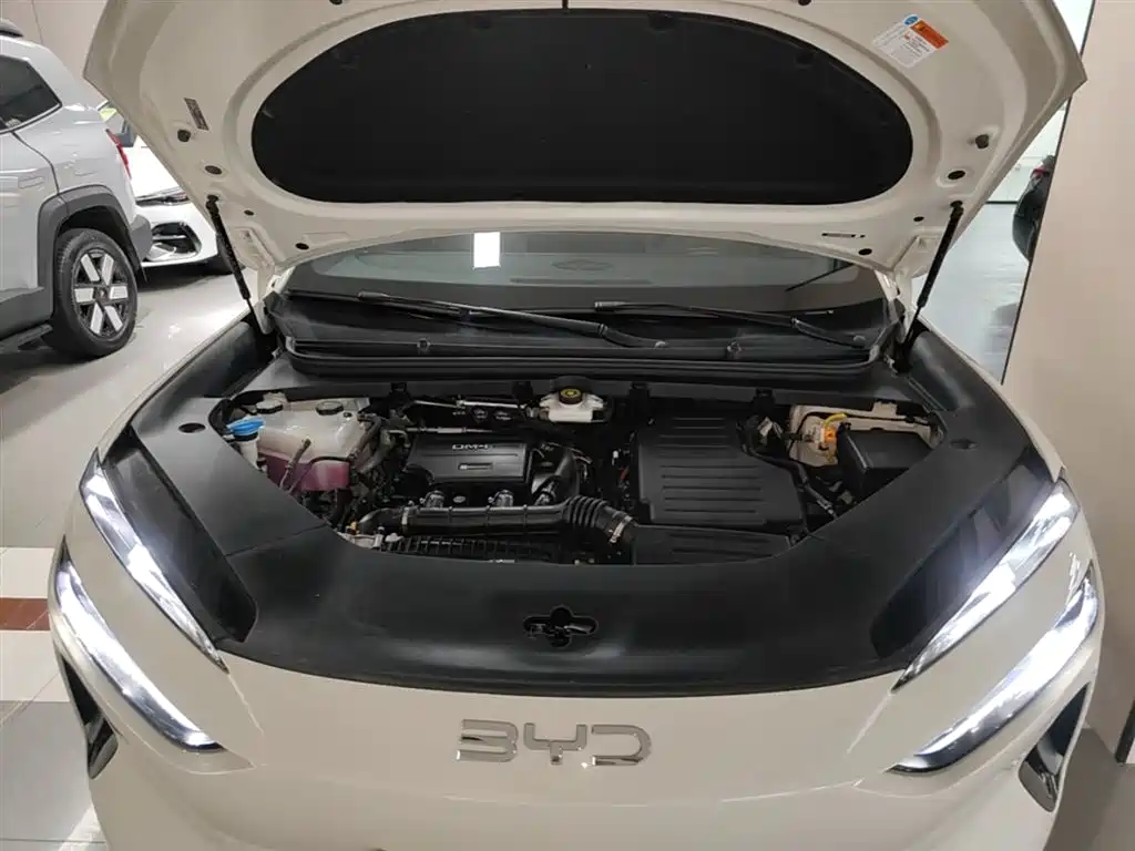 BYD Sealion 06 New Energy 2025 DM-i 170 Pilot Pro Edition фото 20