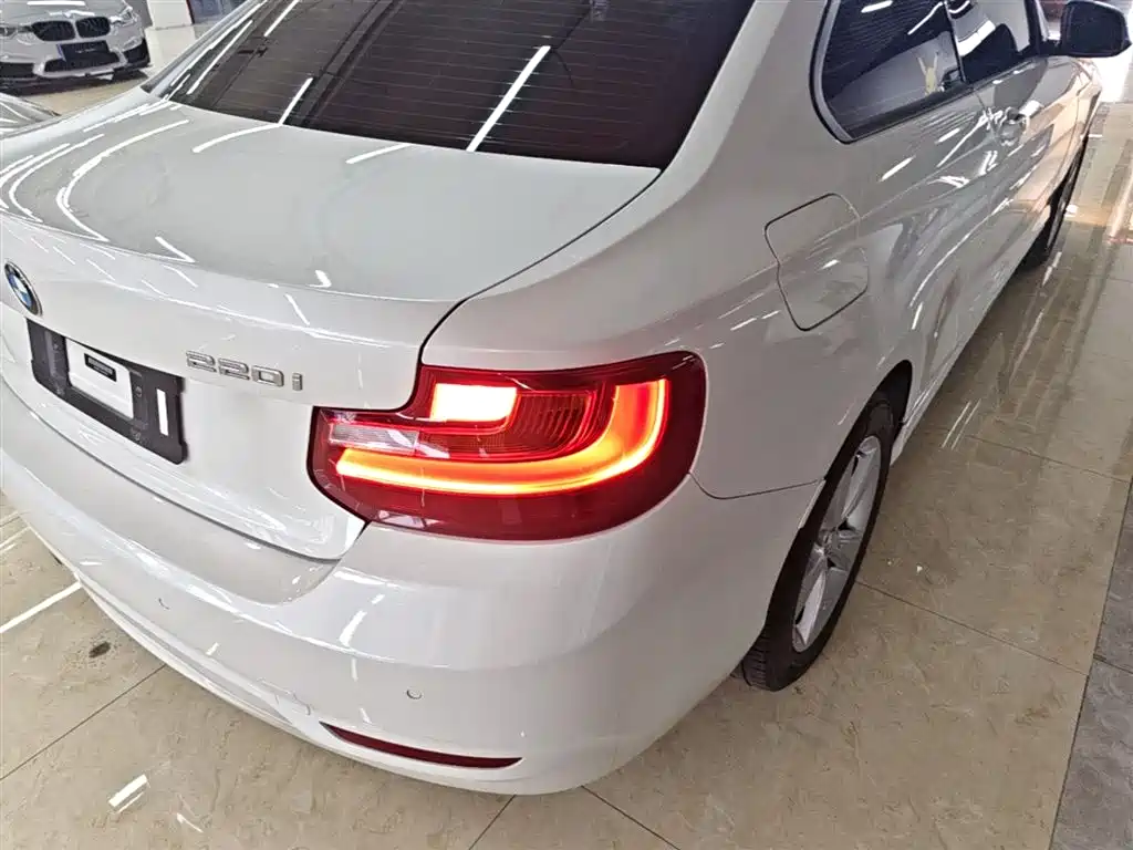 BMW 2 Series (Import) 2017 220i Leading фото 8