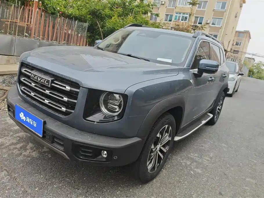 Haval Big Dog 2021 1.5T DCT 2WD Border Collie - Wangcai Edition