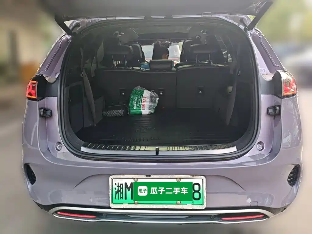 Denza X 2020 2020 Model PHEV Flagship Edition