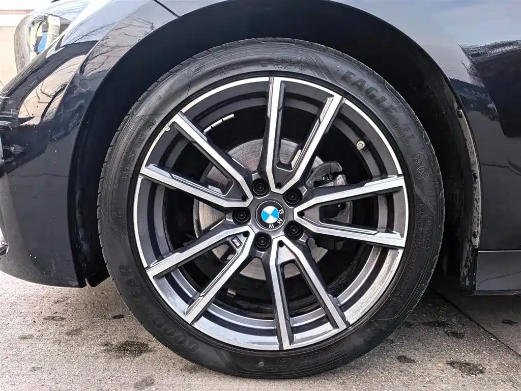 BMW 3 Series 2020 325Li M Sport Package фото 13
