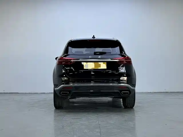 Hongqi HS5 2022 Facelift 2.0T Smart Flag Enjoyment Edition фото 8