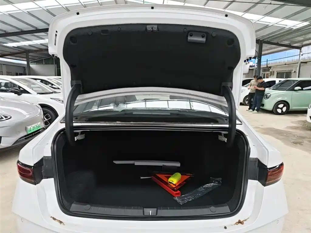 BYD Qin PLUS 2026 DM-i Smart Edition 128KM Progressive фото 19