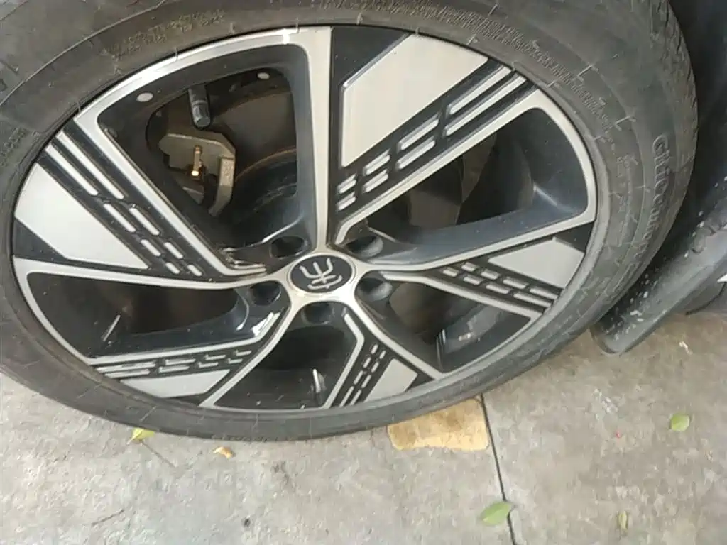 BYD Song Pro New Energy 2023 Champion Edition DM-i 110KM Excellence фото 23