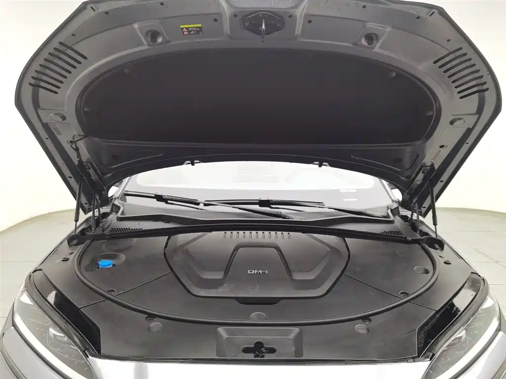 BYD SONGJIANG NEW ENERGY