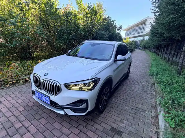 BMW X1 sDrive20Li, Стиль