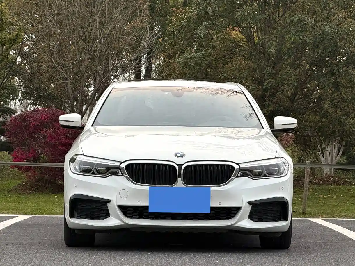 BMW 5 Series 2020 Model 530Li xDrive M Sport Package фото 2