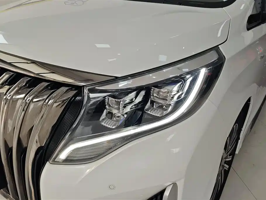 GAC Trumpchi Trumpchi M8 2021 Master Series 390T Prestige Edition фото 5