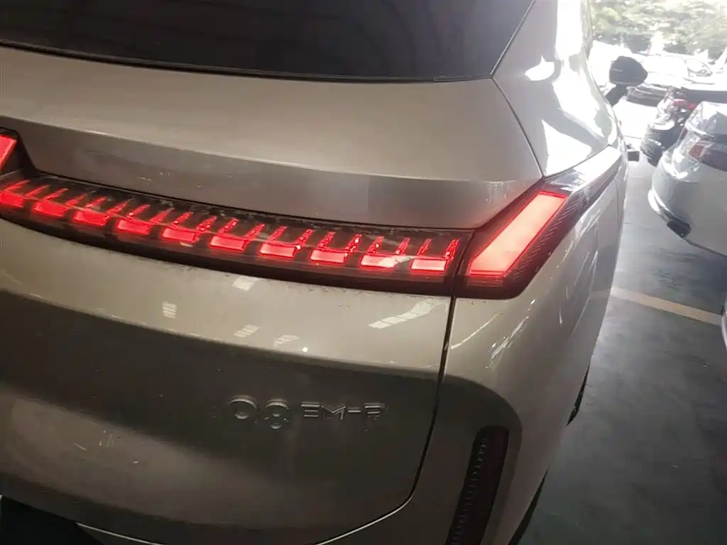 Lynk & Co 08 EM-P 2023 220km 4WD Performance Halo фото 8