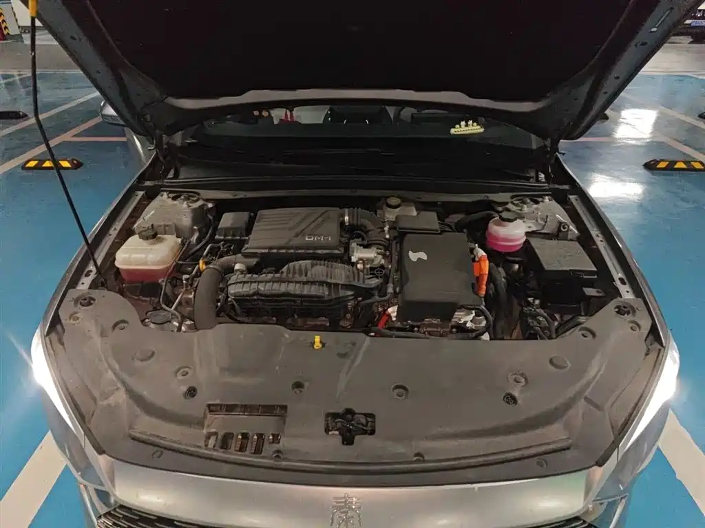 BYD Qin PLUS 2024 Glory Edition DM-i 55KM Leading фото 11