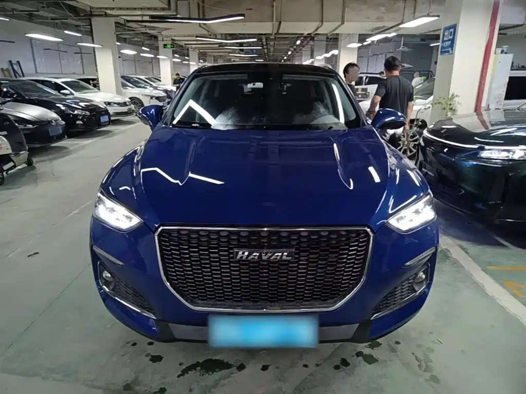 Haval F5 2019 National Trend Edition 1.5T iTrend China VI фото 3