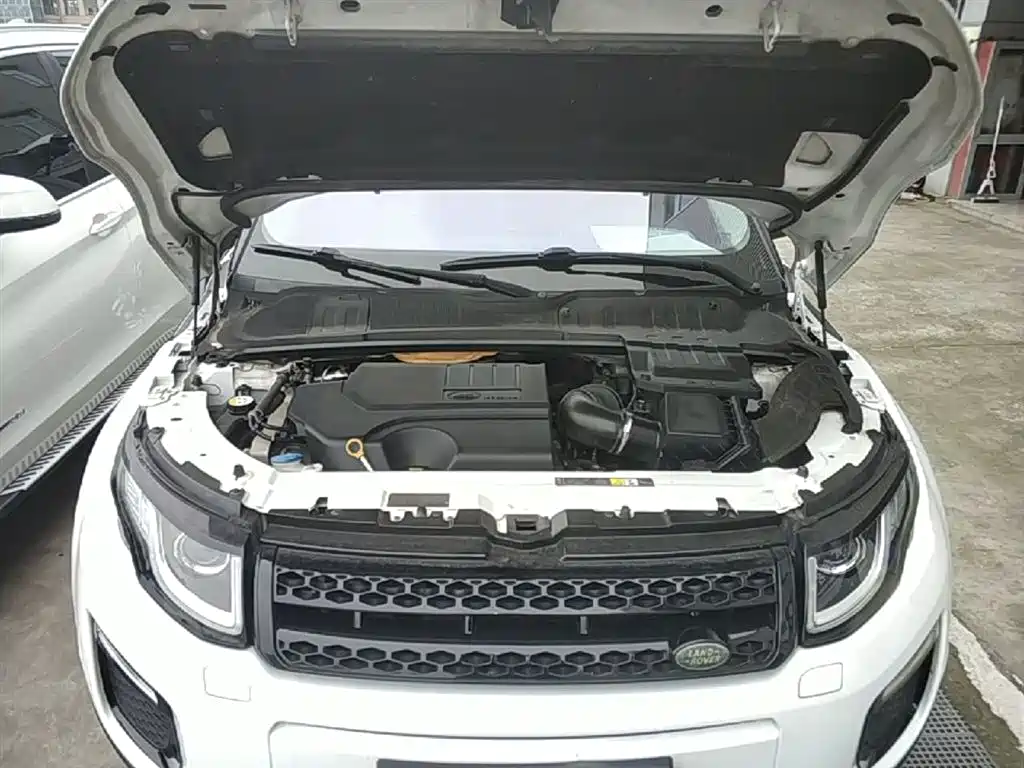 Land Rover Range Rover Evoque 2018 240PS PURE Trend фото 20
