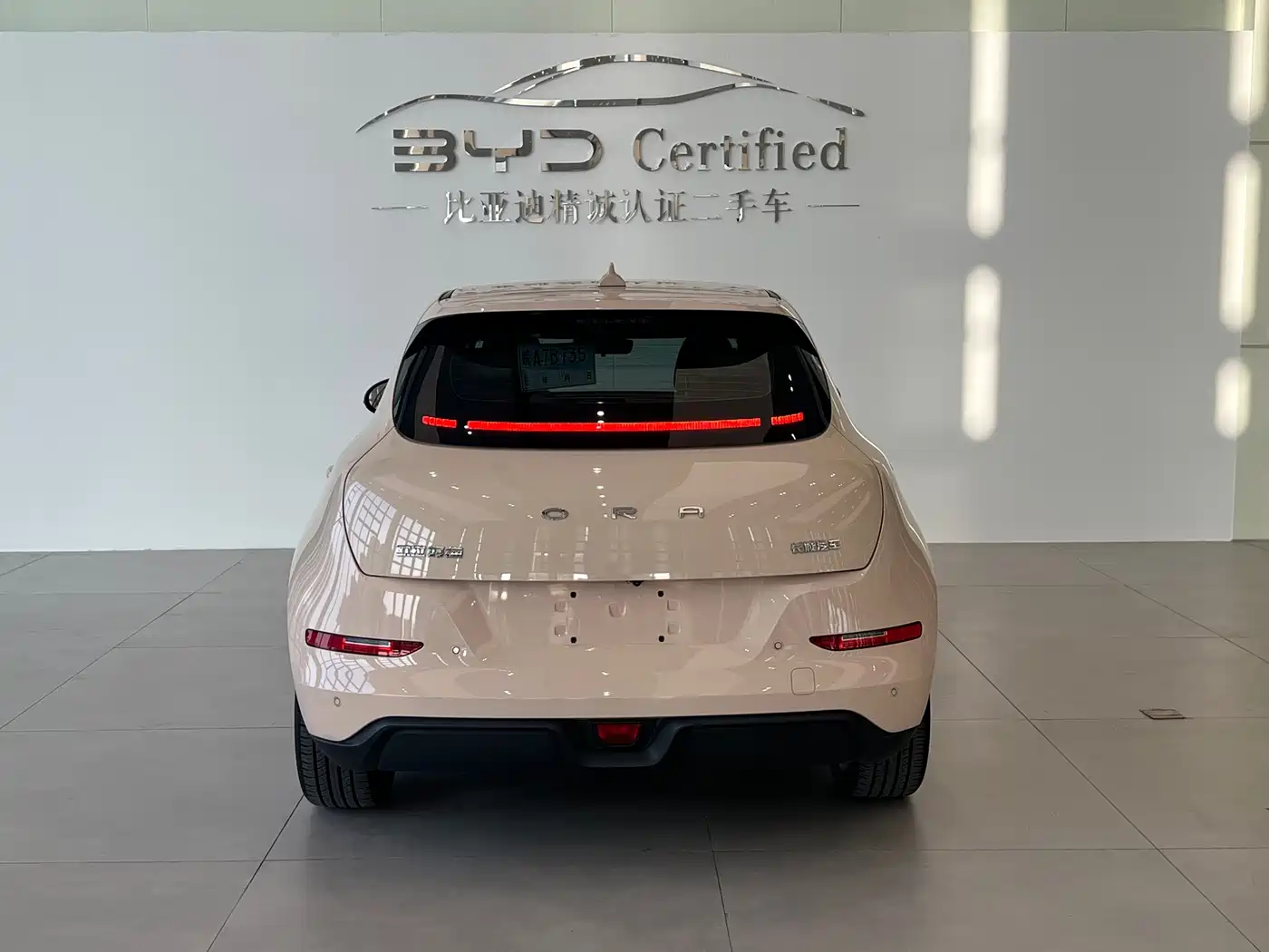Ora Good Cat 2023 2023 401km Standard Range Luxury LFP