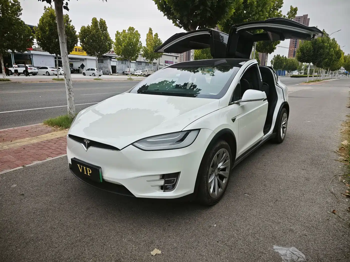 Фото 2 - Tesla Model X