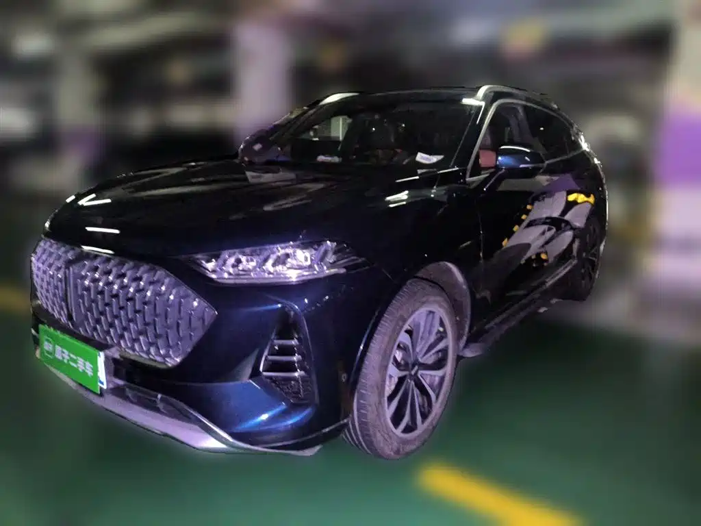 WEY Mocha 2021 2.0T 2WD Premium Edition