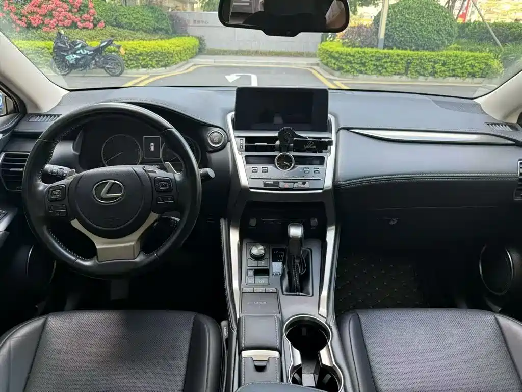 LEXUS NX