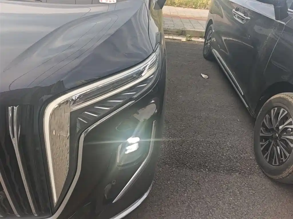 Hongqi HQ9 PHEV 2024 Model 2.0T AWD Business Edition фото 24