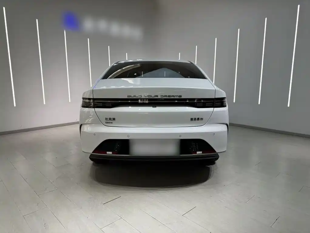 BYD Destroyer 05 2025 2024 Glory Edition DM-i 55KM Luxury