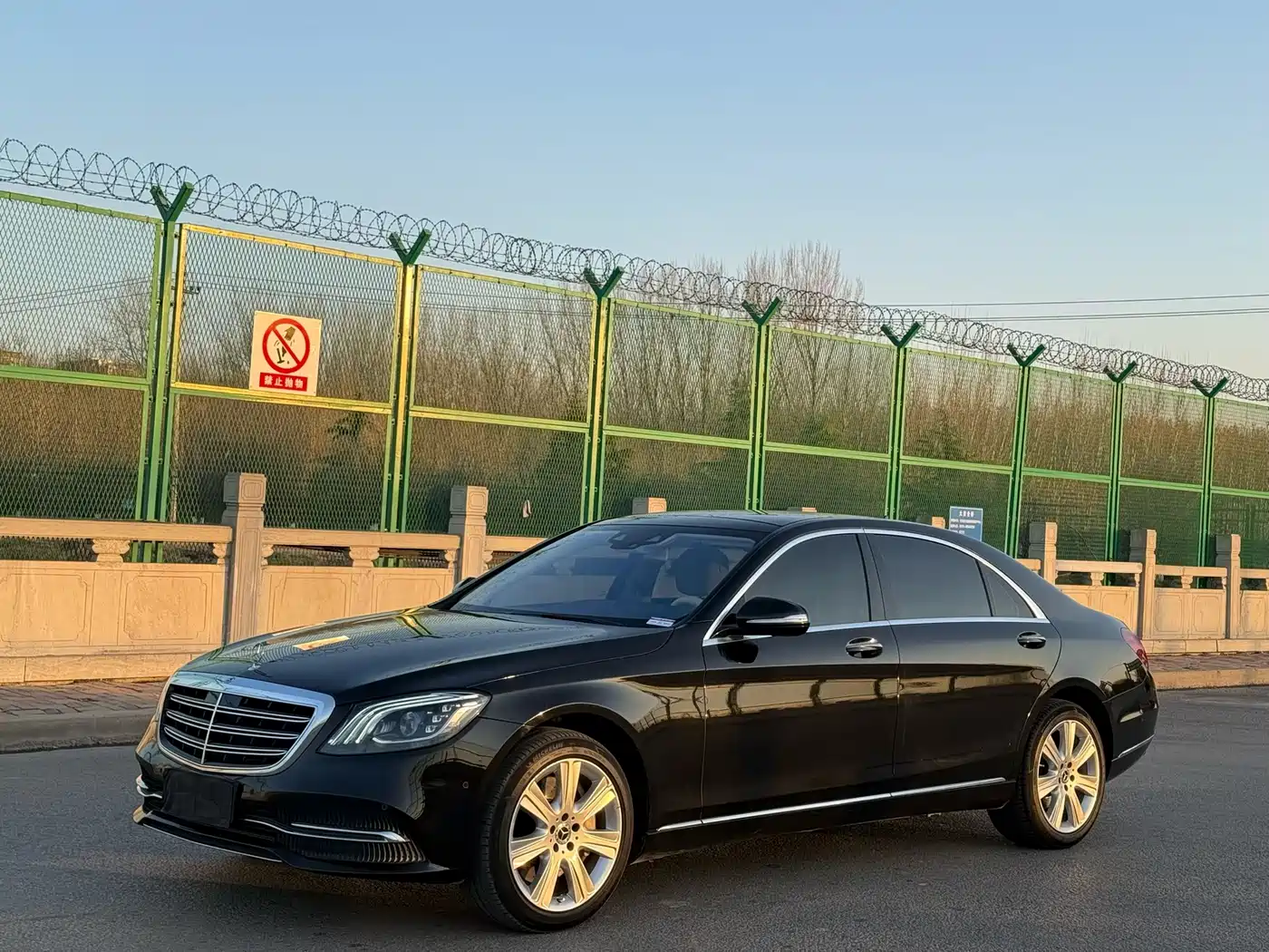 Mercedes-Benz S-Class 2019 S 450 L