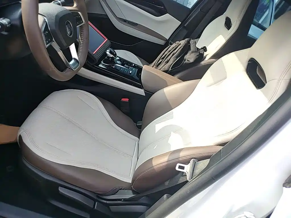BYD Qin PLUS 2024 Glory Edition DM-i 55KM Leading фото 15