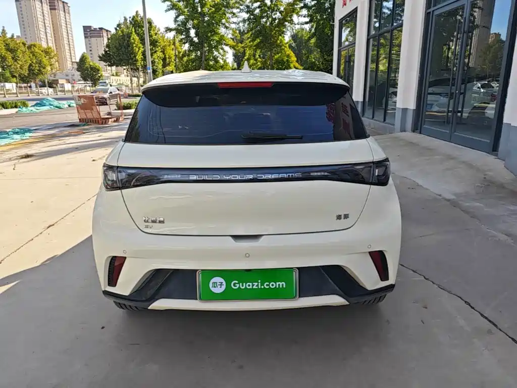 BYD Dolphin 2026 2025 420km Freedom Edition