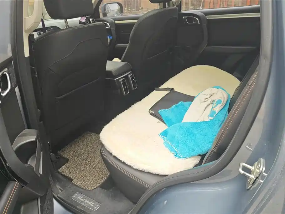 Haval Big Dog 2021 1.5T DCT 2WD Border Collie - Wangcai Edition фото 11
