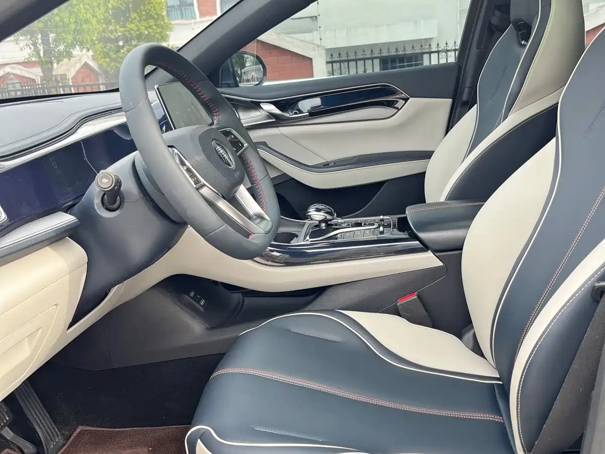 BYD Qin PLUS 2021 DM-i 55KM Premium фото 15