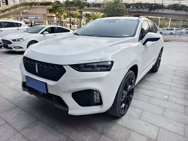 WEI PAI WEI BRAND VV7