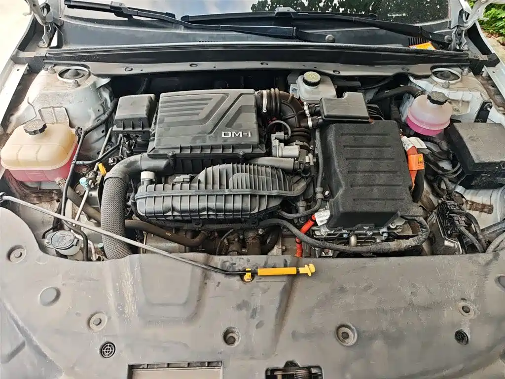 BYD Qin PLUS 2023 Champion Edition DM-i 55KM Leading фото 11