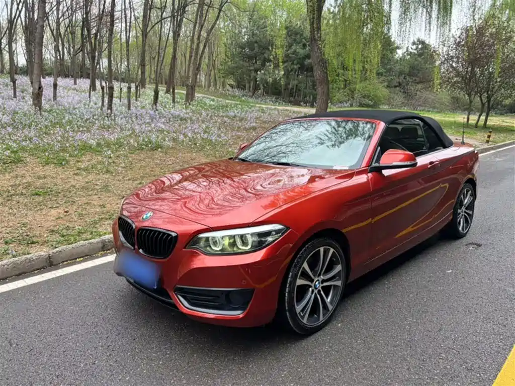 BMW 2 SERIES (IMPORTED)