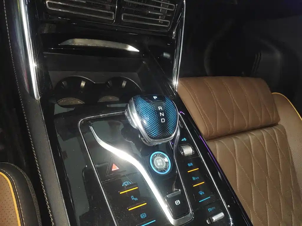 BYD Tang New Energy 2021 DM-i 112KM Premium фото 14