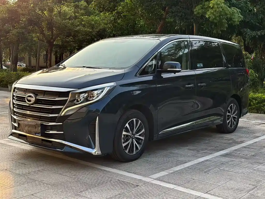 GAC Trumpchi Trumpchi M8 2021 Facelift Leading Series 390T Luxury Edition