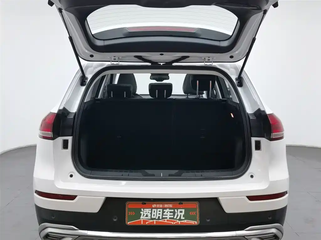 Haval H6 2021 1.5GDIT Automatic Champion Edition фото 16