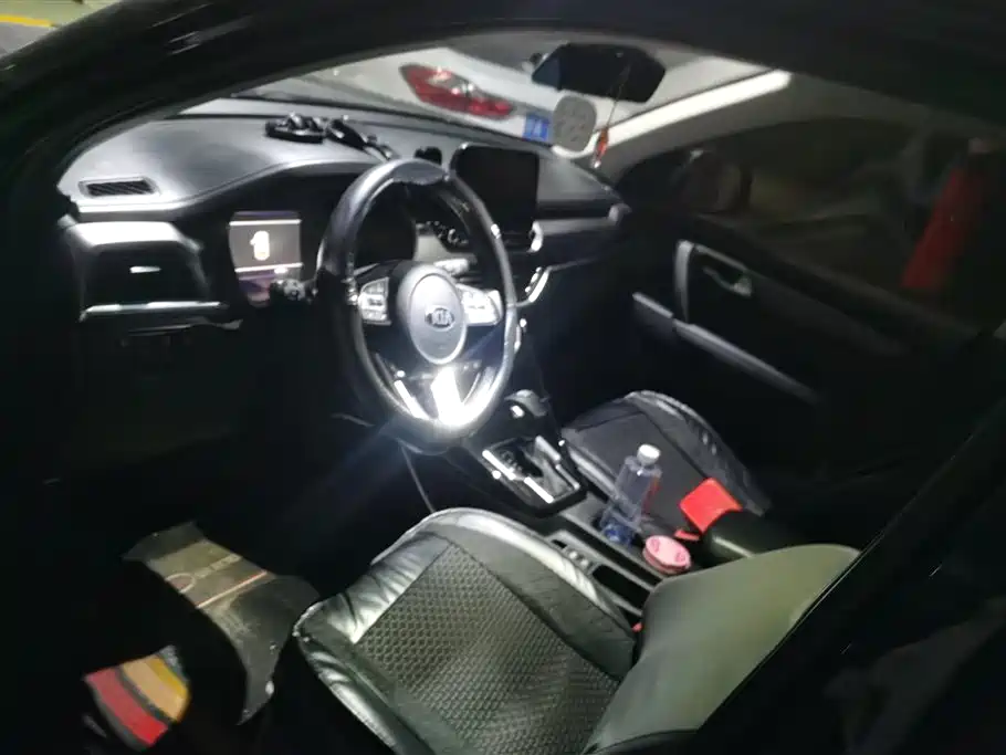 Kia Sportage 2019 2.0L Automatic Smart Luxury Edition фото 12