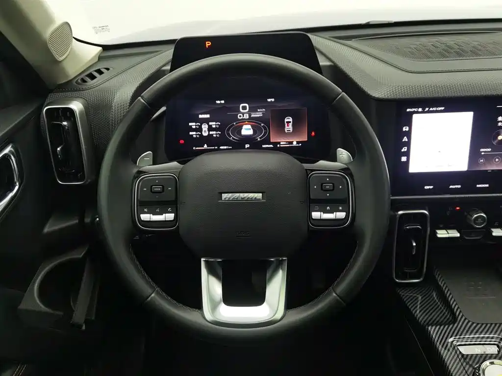 Haval Big Dog 2021 1.5T DCT 2WD Labrador Edition фото 11