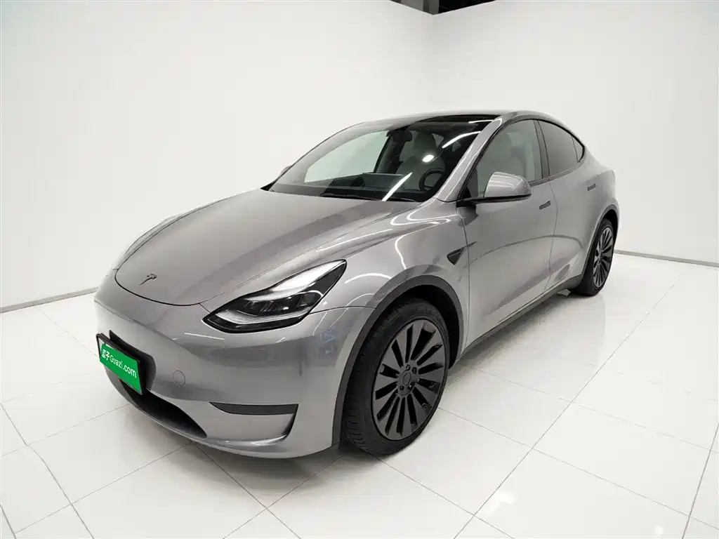 Tesla Model Y 2021 Standard Range Rear-Wheel Drive