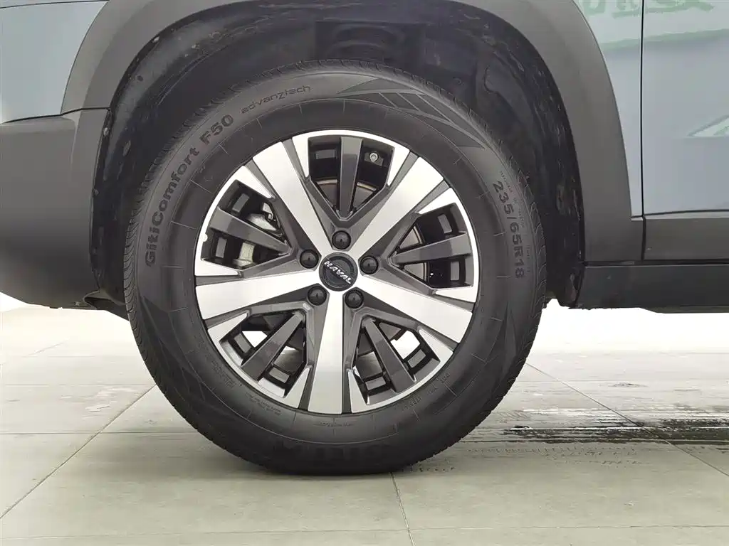 Haval Big Dog 2021 1.5T DCT 2WD Labrador Edition фото 17