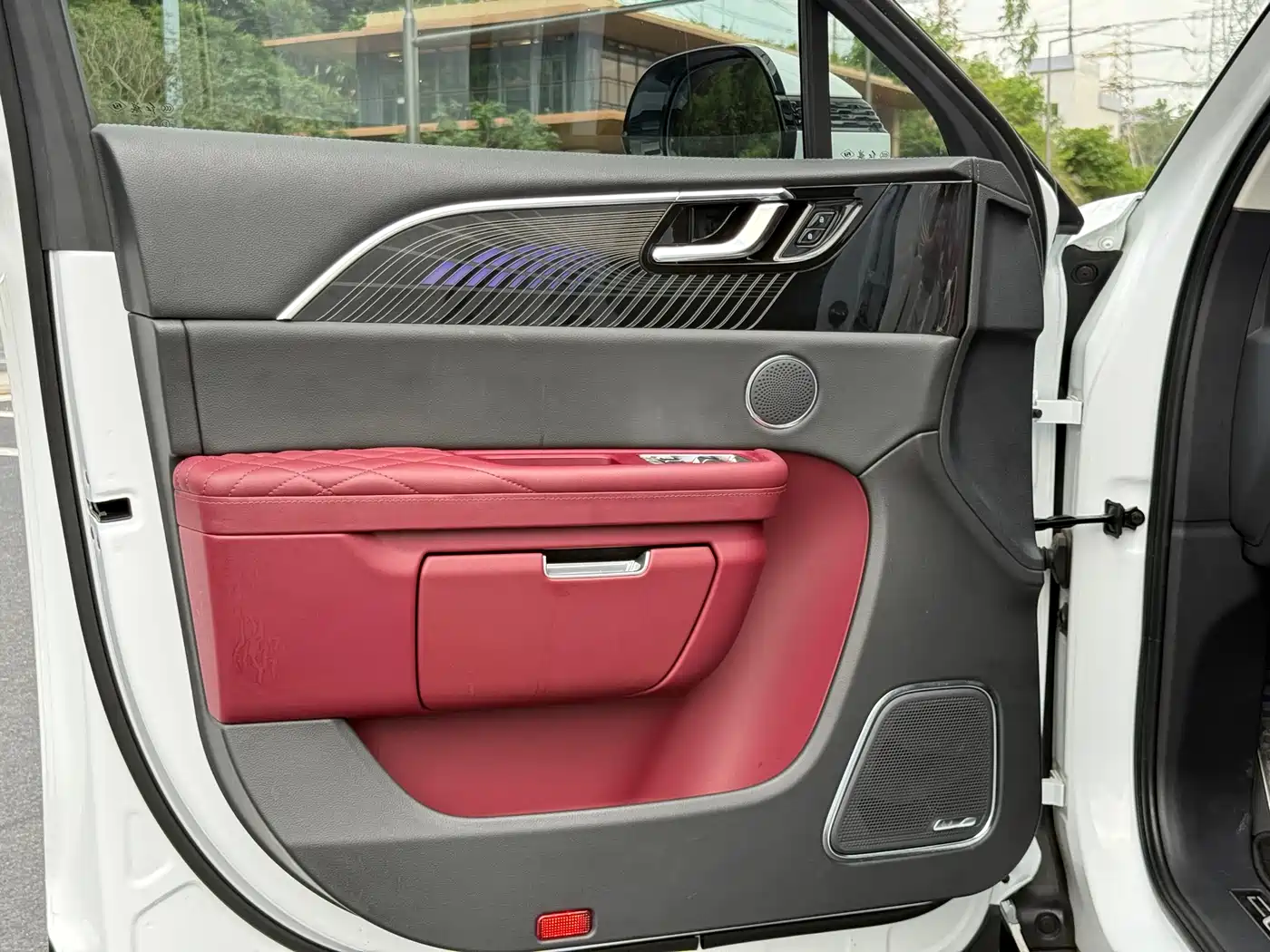 Hongqi E-HS9 2022 660km Qi Chang Edition (6-seater) фото 16