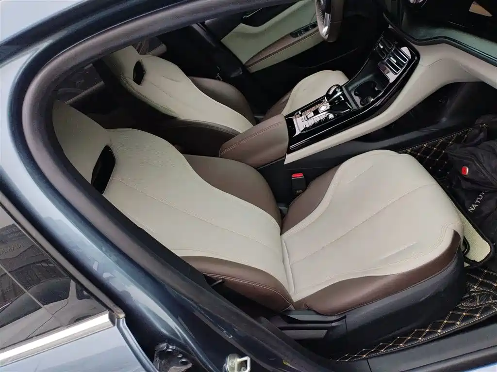 BYD Qin PLUS 2024 Glory Edition DM-i 55KM Leading фото 4