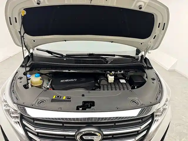 GAC Trumpchi Trumpchi M8 2024 Leadershow Series 390T Luxury Edition фото 19