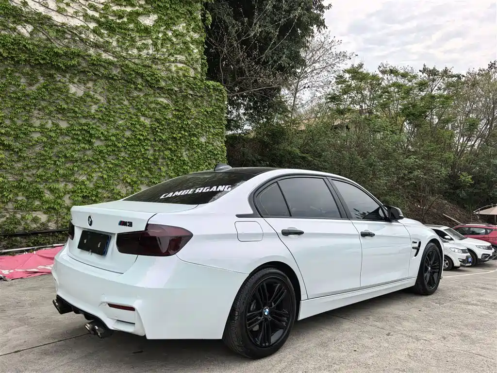 BMW 3 Series 2017 320Li Fashion фото 25