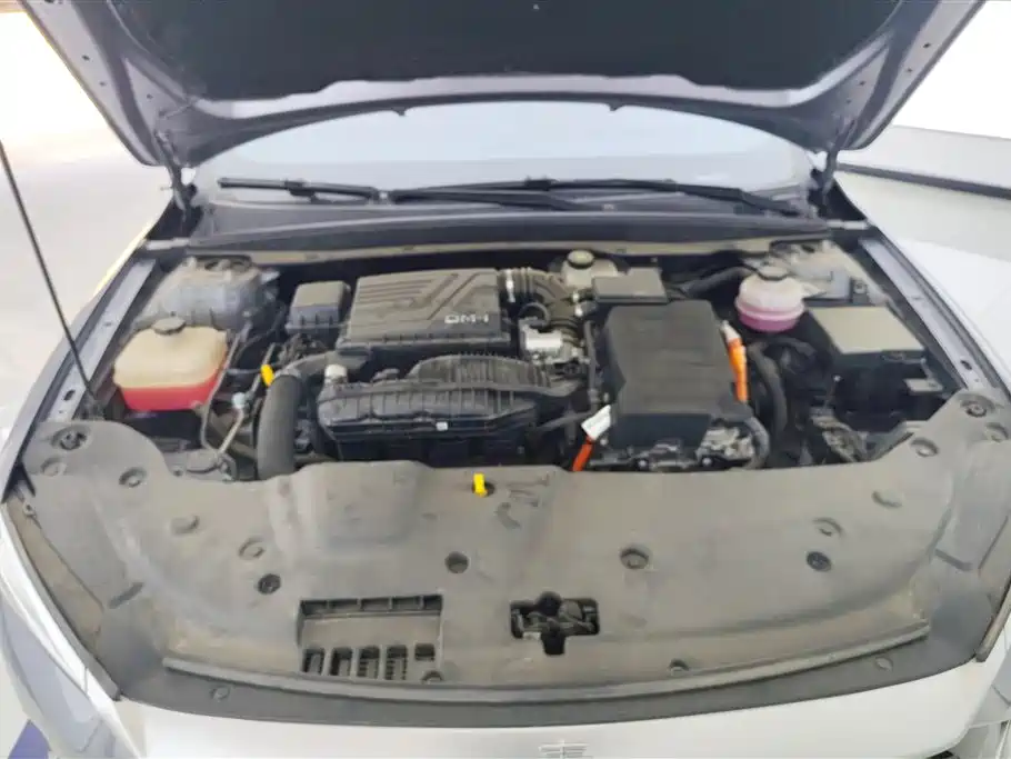 BYD Qin PLUS 2024 Glory Edition DM-i 55KM Leading фото 10