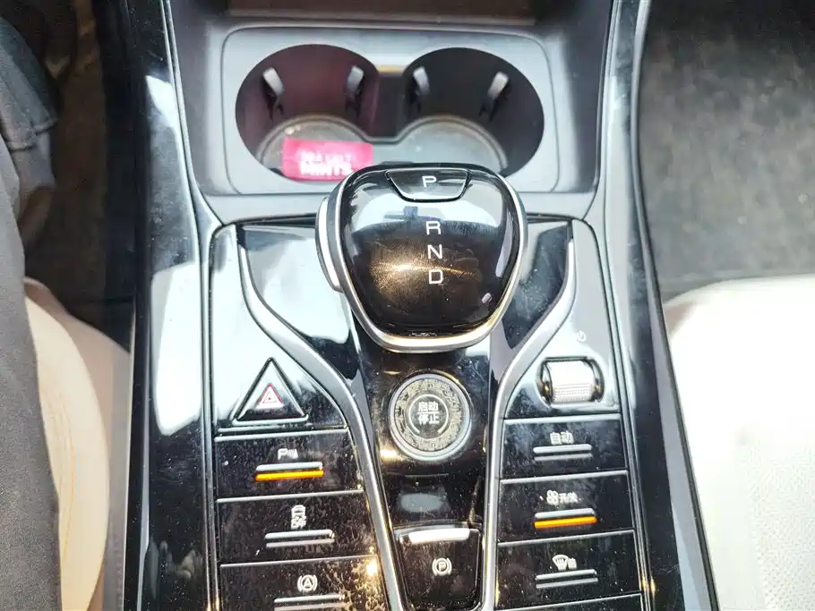 BYD Qin PLUS 2024 Glory Edition DM-i 55KM Leading фото 16
