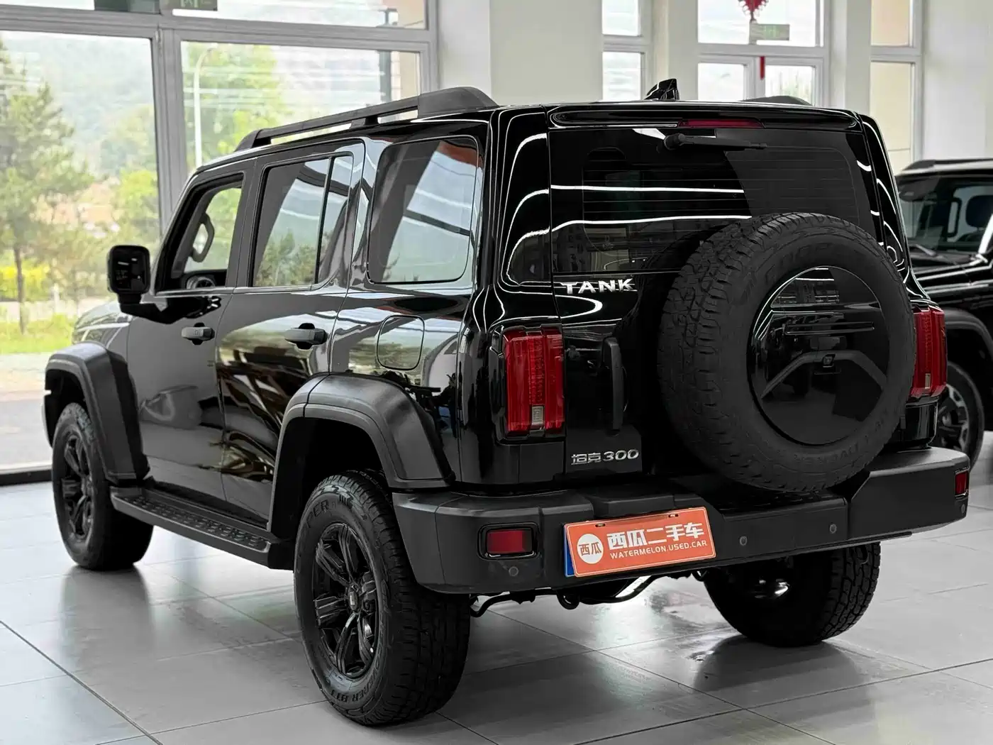 Tank 300 2021 Off-road Edition 2.0T Challenger фото 11